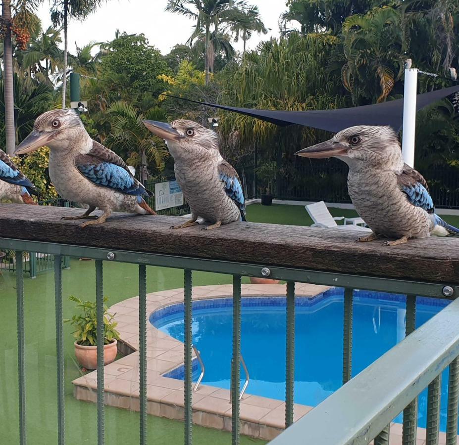 Magnetic Island Resort, Sleeps 3, Free Wifi 耐莉湾 外观 照片
